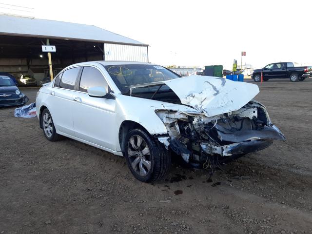 honda accord exl 2010 5kbcp3f89ab014734