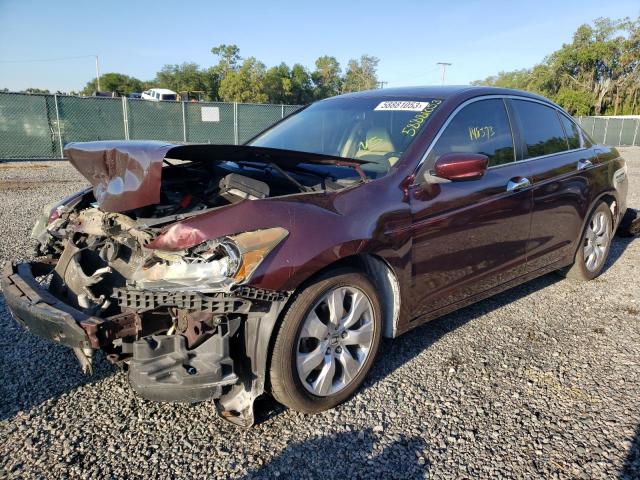 honda accord exl 2010 5kbcp3f89ab018430