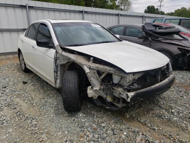 honda accord exl 2010 5kbcp3f8xab016864