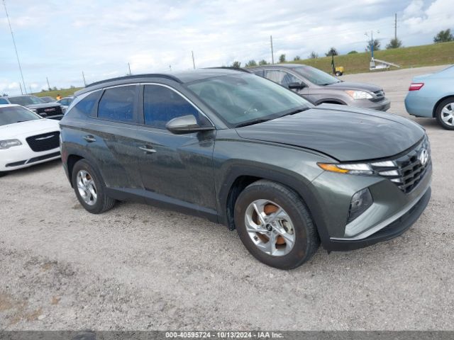 hyundai tucson 2023 5nmjb3ae6ph243283