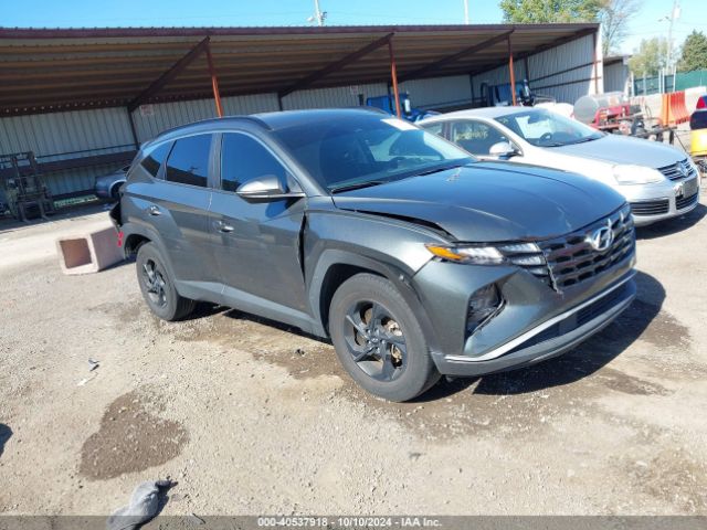 hyundai tucson 2023 5nmjb3ae8ph249179