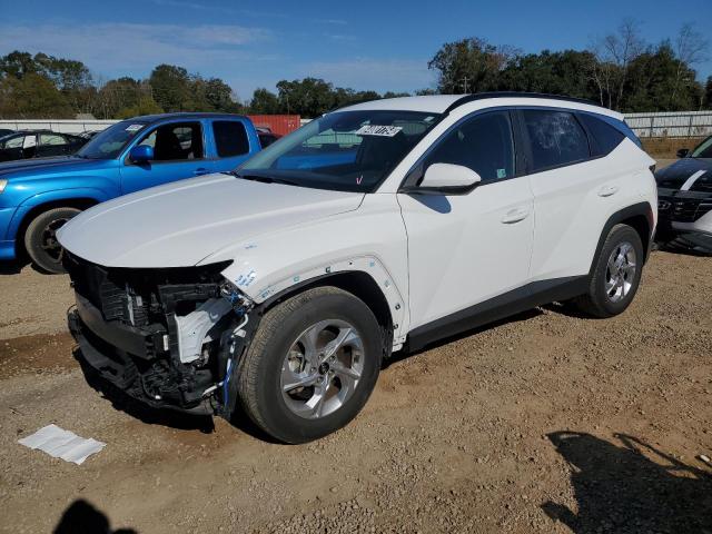 hyundai tucson sel 2024 5nmjb3de1rh347422