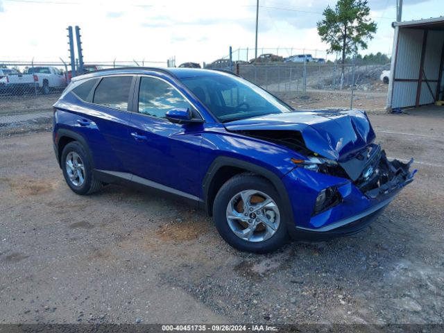 hyundai tucson 2024 5nmjb3de5rh295762