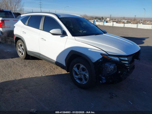 hyundai tucson 2024 5nmjb3dexrh370813