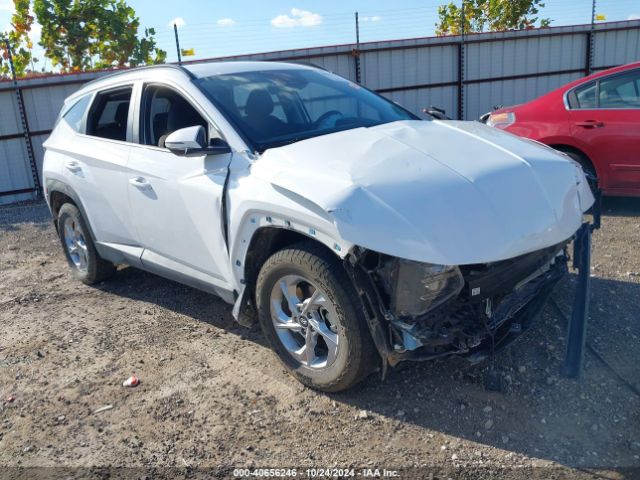 hyundai tucson 2023 5nmjbcae0ph268034