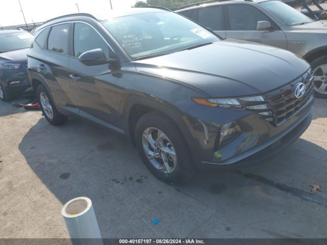 hyundai tucson 2023 5nmjbcae3ph287287