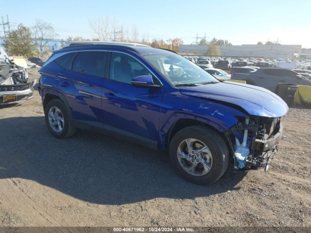 hyundai tucson 2023 5nmjbcae5ph281765