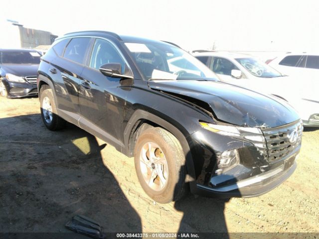 hyundai tucson 2023 5nmjbcae7ph166942