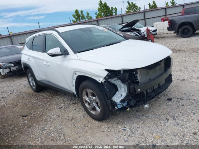 hyundai tucson 2023 5nmjbcae7ph288247