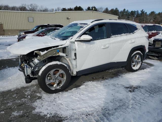 hyundai tucson sel 2023 5nmjbcae9ph188635