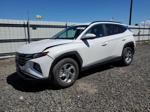 hyundai tucson 2024 5nmjbcde0rh390486