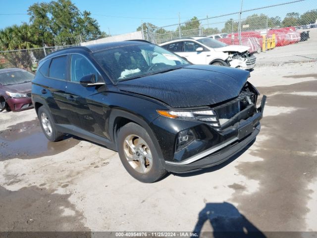 hyundai tucson 2024 5nmjbcde8rh327233