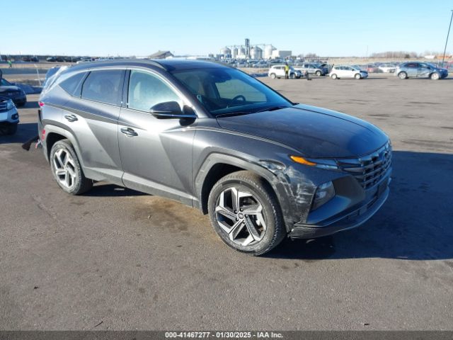 hyundai tucson 2023 5nmjecae5ph192057