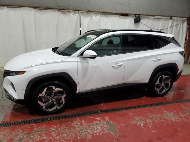 hyundai tucson lim 2023 5nmjecae5ph205888