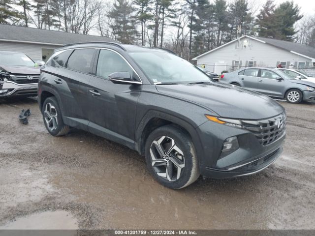 hyundai tucson 2023 5nmjecae8ph193638