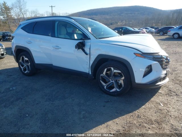 hyundai tucson 2024 5nmjecde2rh380484