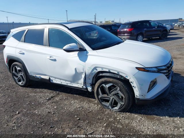 hyundai tucson 2023 5nmjfcae5ph243523