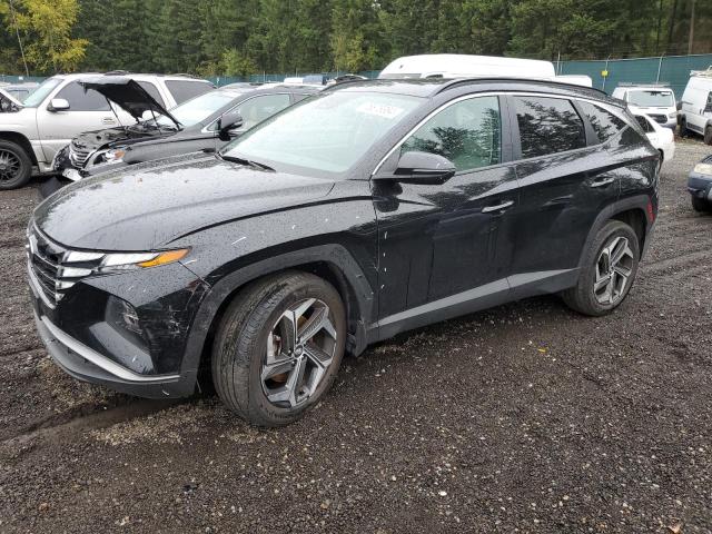 hyundai tucson sel 2023 5nmjfcaexph162386