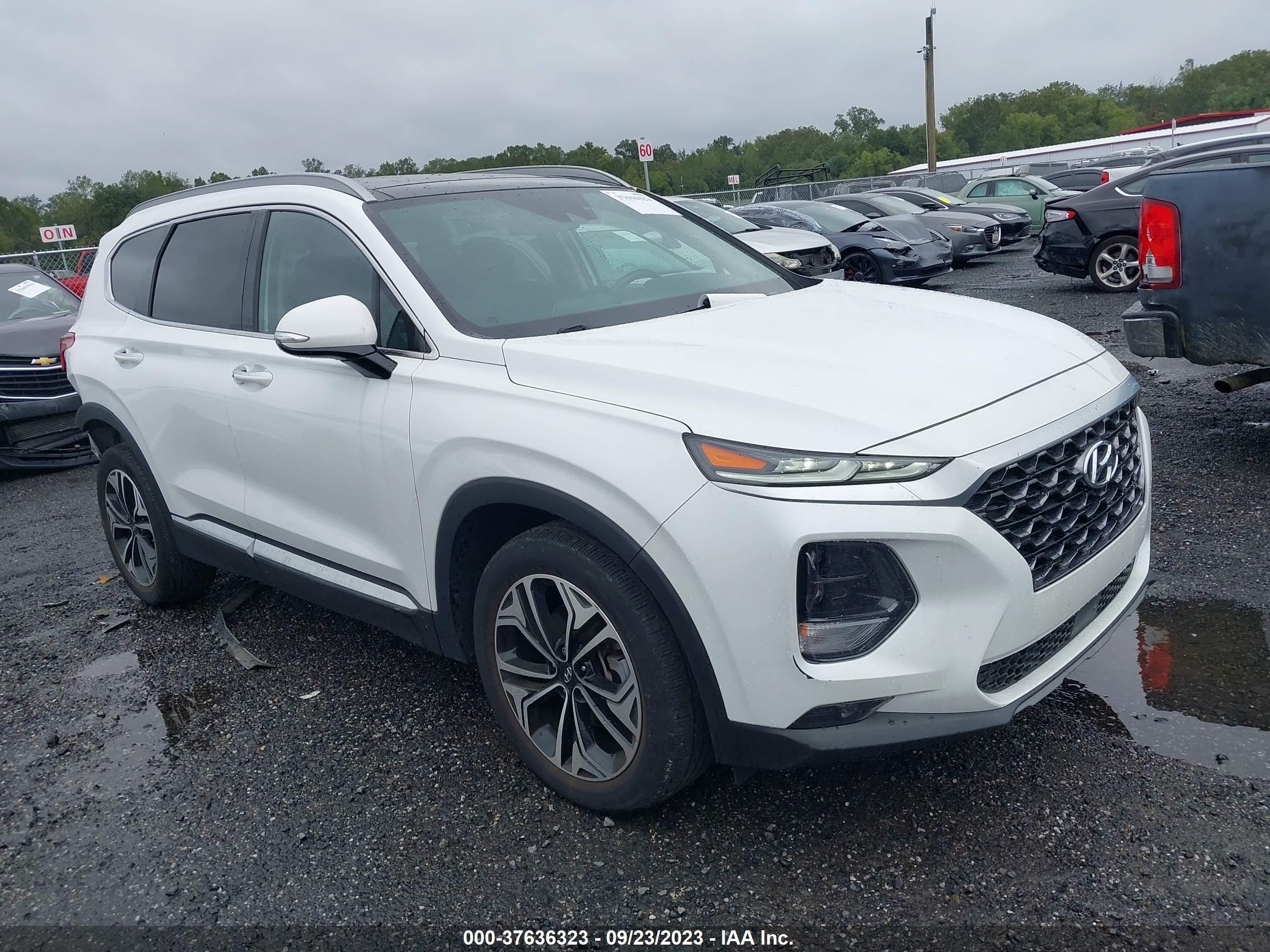 hyundai santa fe 2019 5nms5caa7kh067328