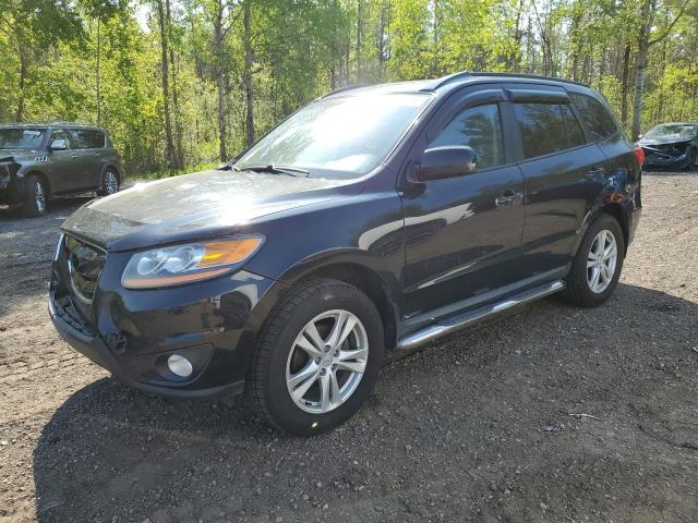 hyundai santa fe g 2010 5nmsgdag0ah409785