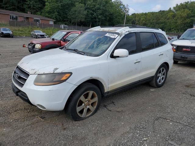 hyundai santa fe s 2007 5nmsh13e07h047795