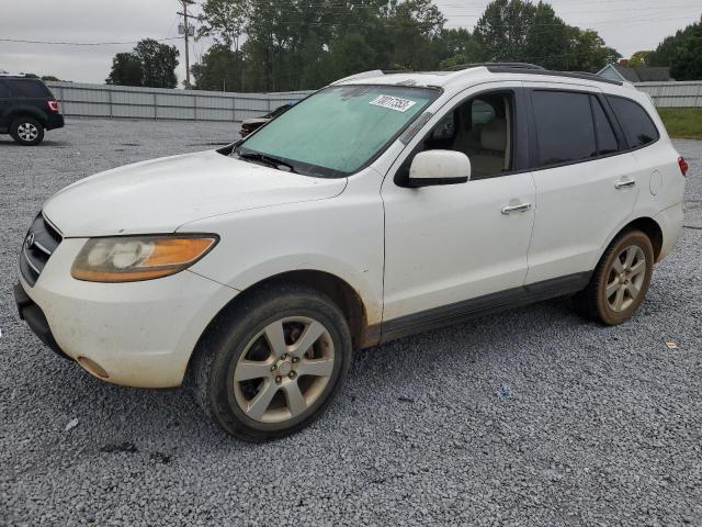 hyundai santa fe s 2009 5nmsh13e59h229379