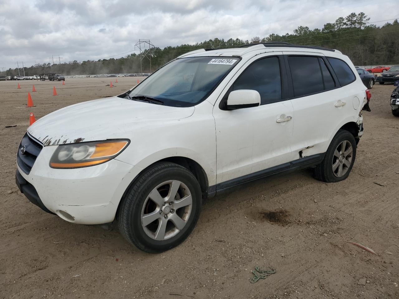 hyundai santa fe 2009 5nmsh13e69h330446