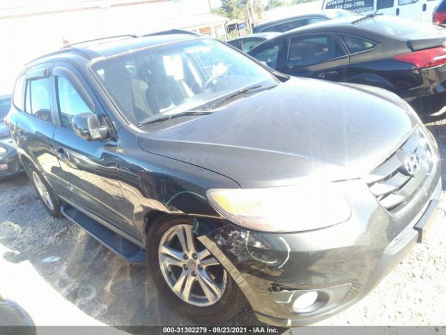 hyundai santa fe 2010 5nmsh4ag0ah397537