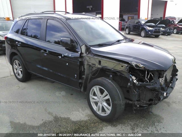 hyundai santa fe 2010 5nmsh4ag4ah386945