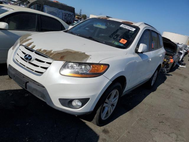 hyundai santa fe 2010 5nmsh4ag6ah396019