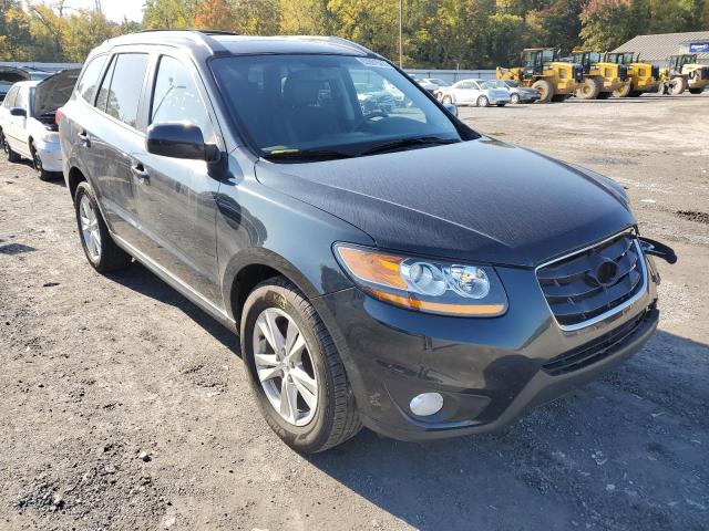 hyundai santa fe s 2010 5nmshdag4ah351466