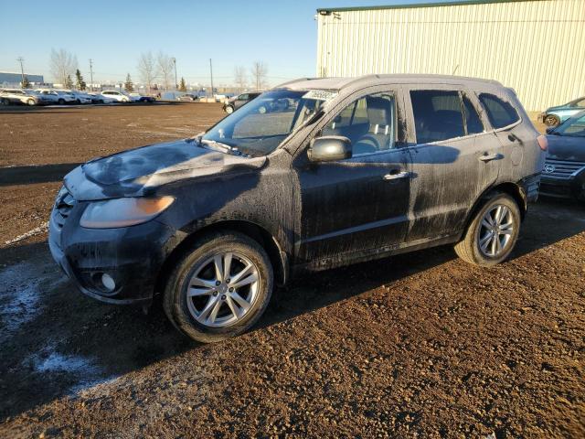 hyundai santa fe 2010 5nmshdag5ah382841