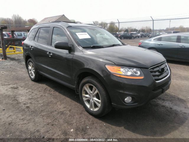 hyundai santa fe 2010 5nmshdag6ah361092