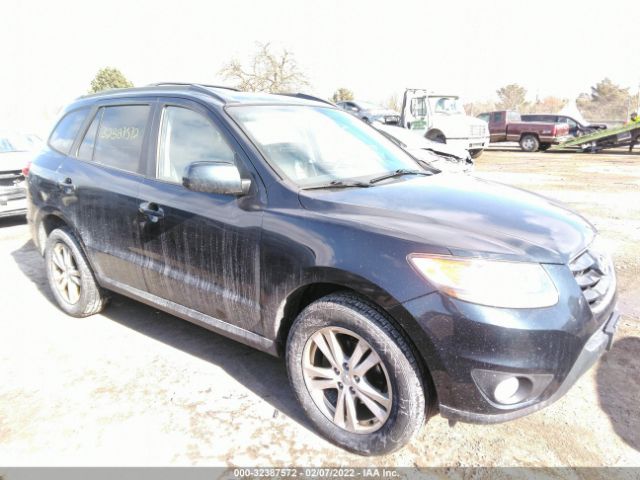 hyundai santa fe 2010 5nmshdag9ah355819