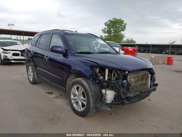 hyundai santa fe 2010 5nmsk4agxah366281