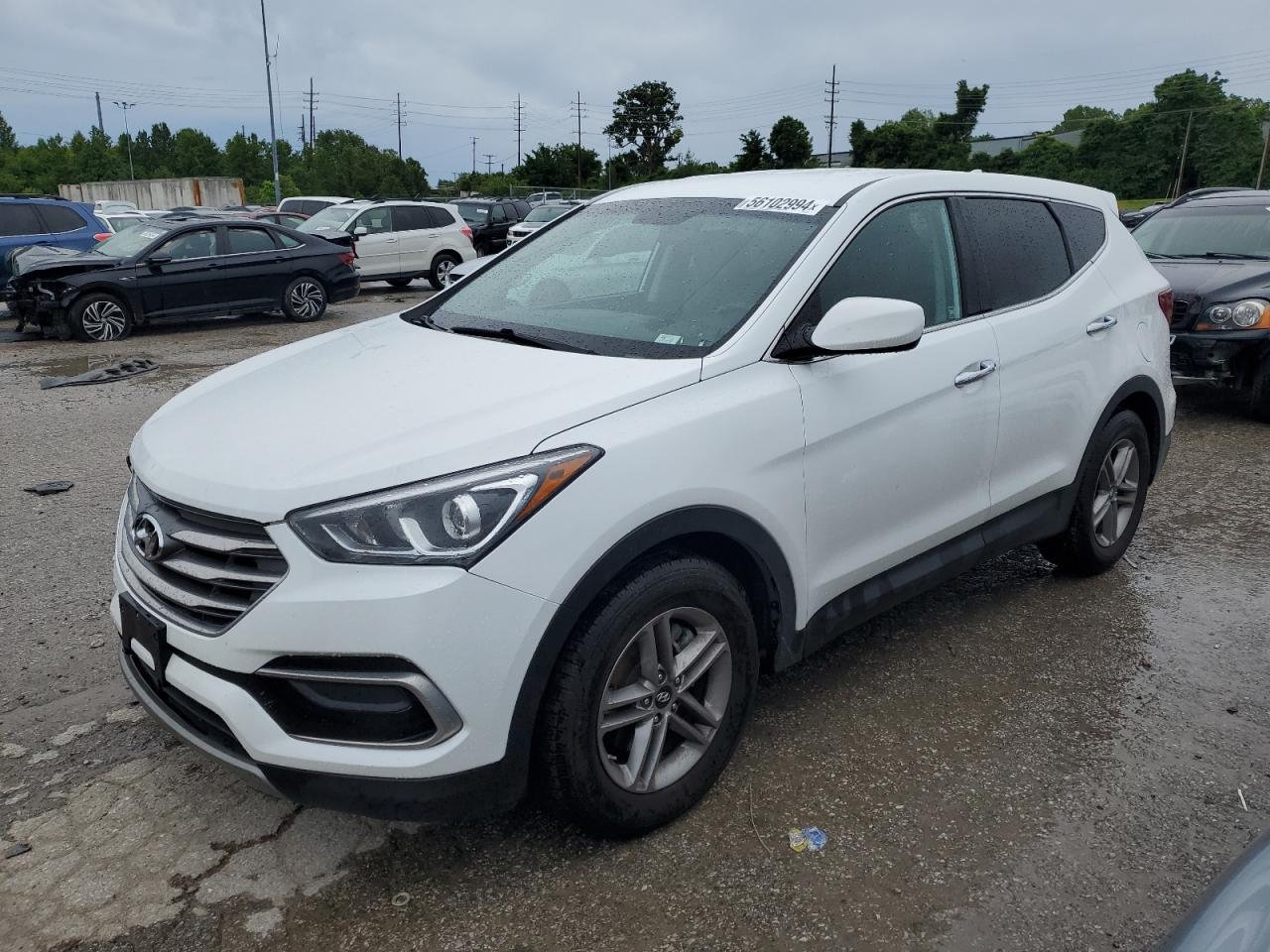 hyundai santa fe 2017 5nmzt3lb1hh035770