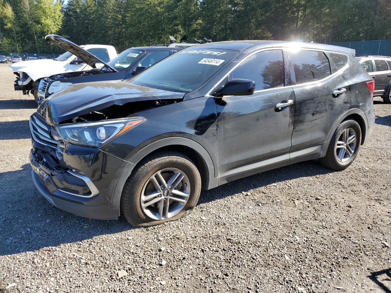 hyundai santa fe 2017 5nmztdlb5hh018105