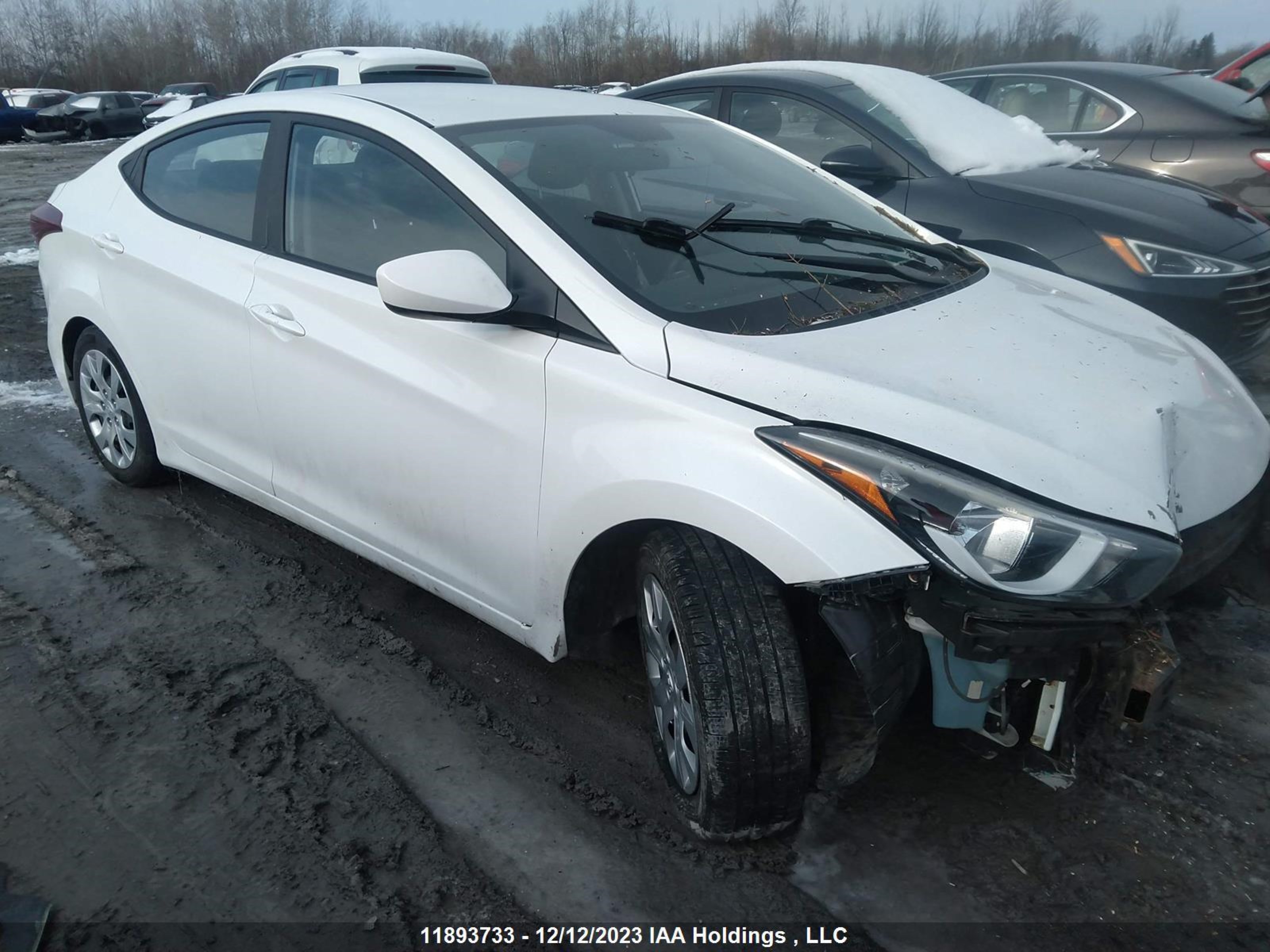 hyundai elantra 2016 5npdh4ae5gh792042