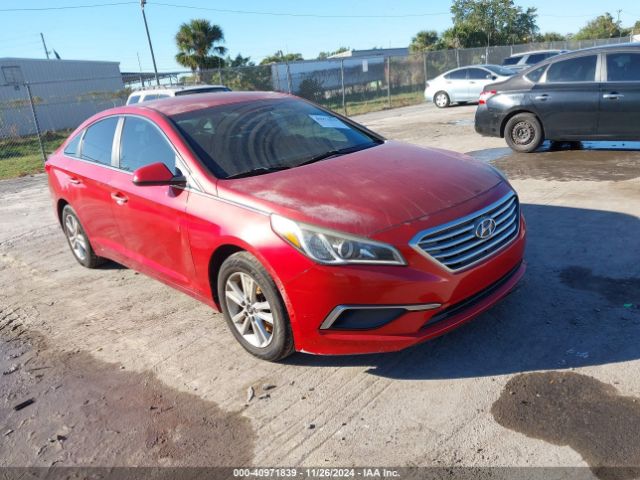 hyundai sonata 2017 5npe24aa4hh528766