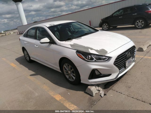 hyundai sonata 2019 5npe24aa4kh774093