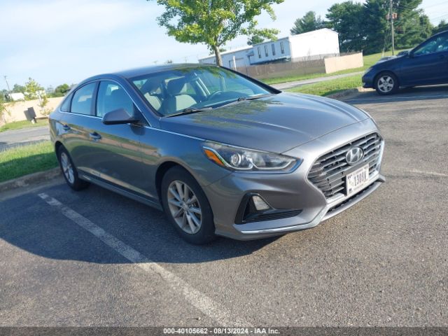 hyundai sonata 2019 5npe24aa4kh775339