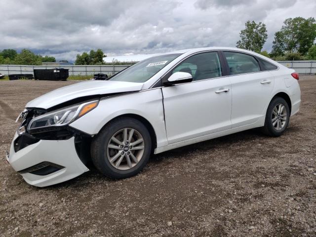 hyundai sonata 2016 5npe24aaxgh394196