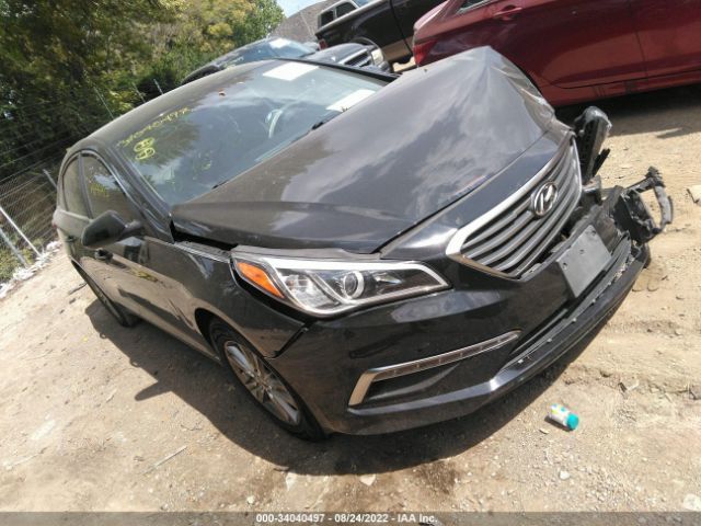 hyundai sonata 2015 5npe24af0fh039967