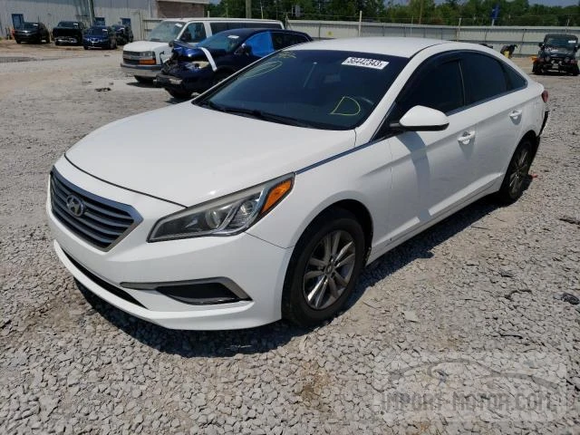 hyundai sonata 2016 5npe24af0gh267193