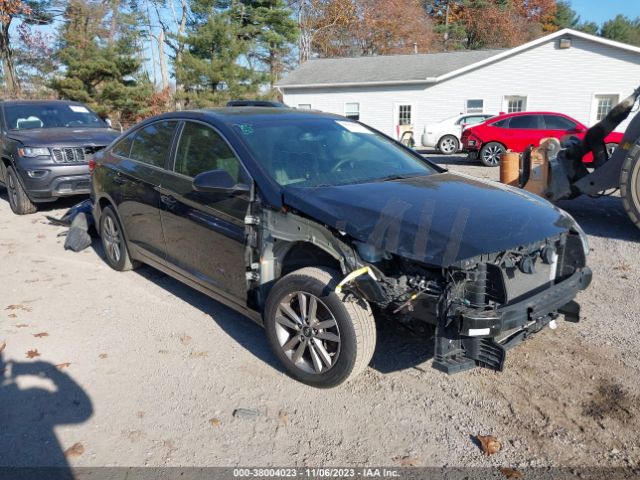 hyundai sonata 2016 5npe24af0gh291753