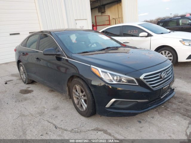 hyundai sonata 2016 5npe24af0gh355242