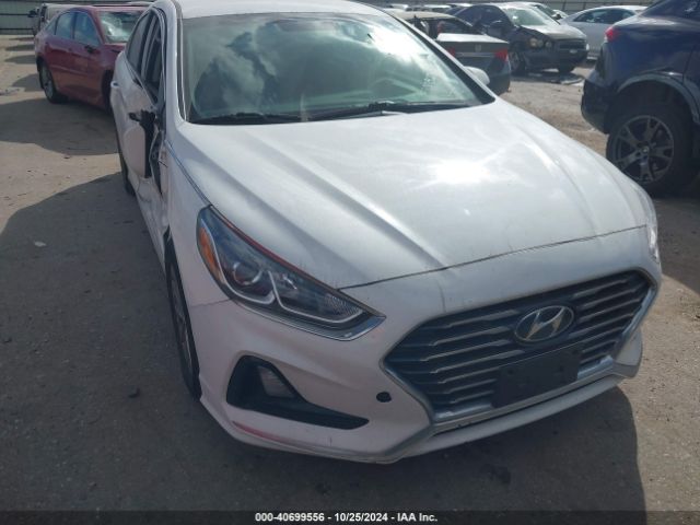 hyundai sonata 2019 5npe24af0kh782705