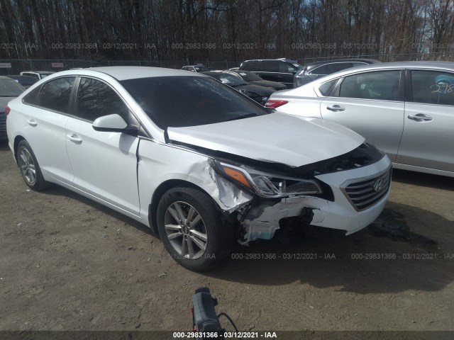 hyundai sonata 2015 5npe24af1fh146087