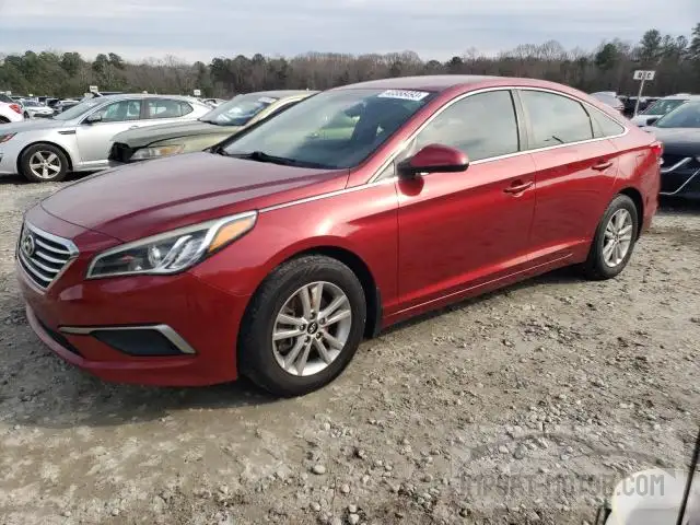 hyundai sonata 2016 5npe24af1gh282432