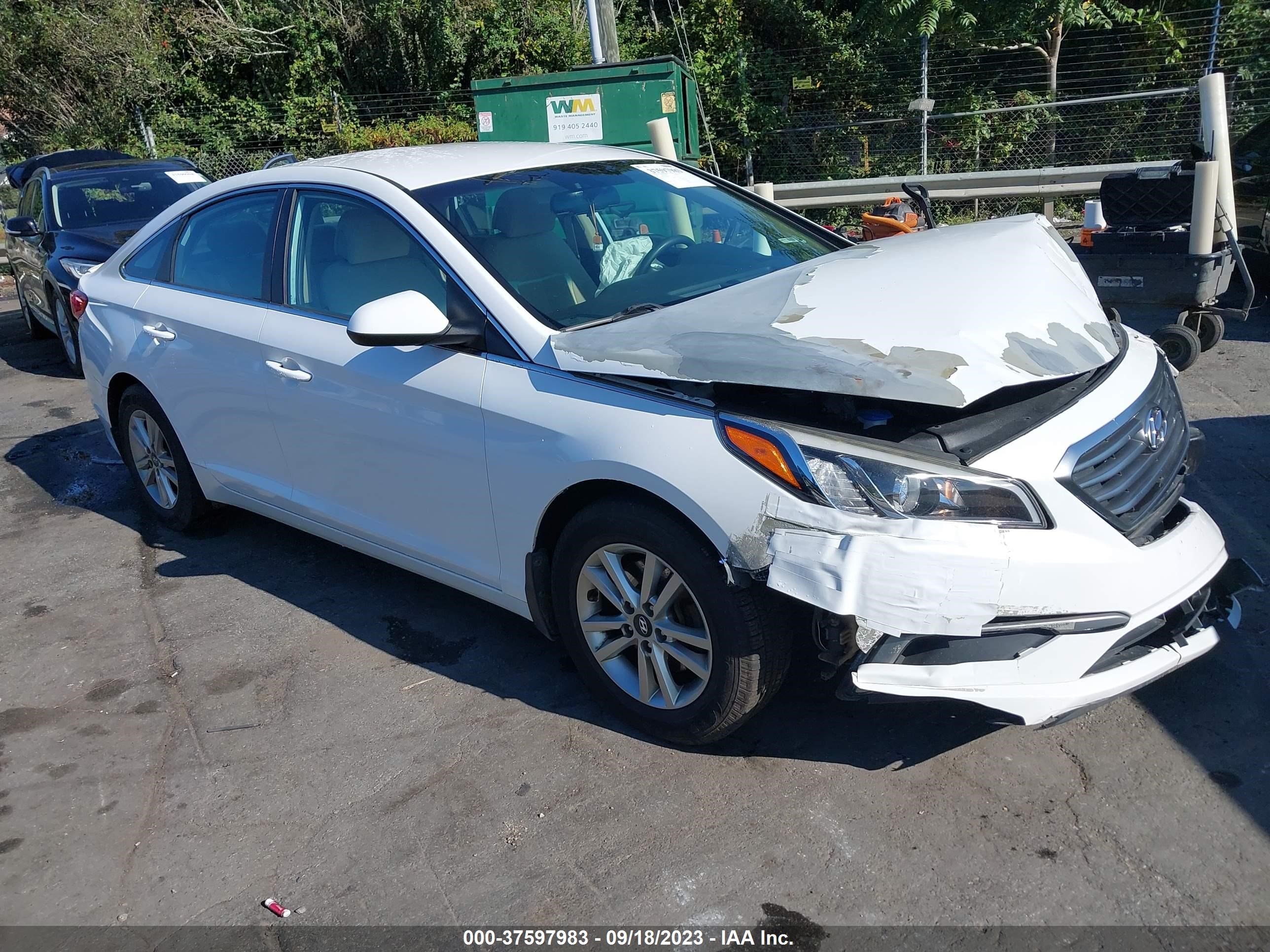 hyundai sonata 2017 5npe24af1hh496354